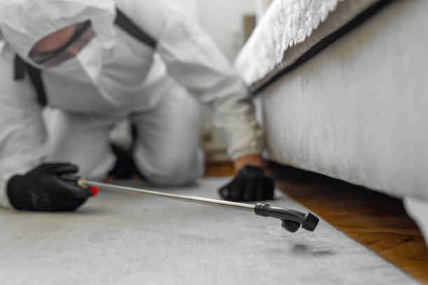 Professional Termite Control technician working in Morton, WA