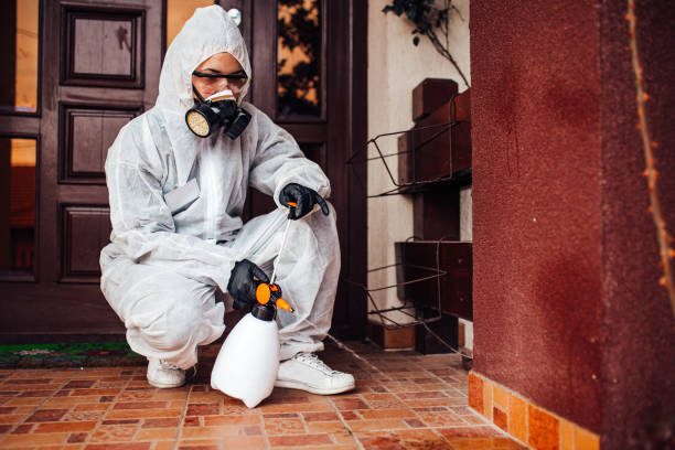 Reliable Termite Control contractor in Morton, WA by Nex Pest Control