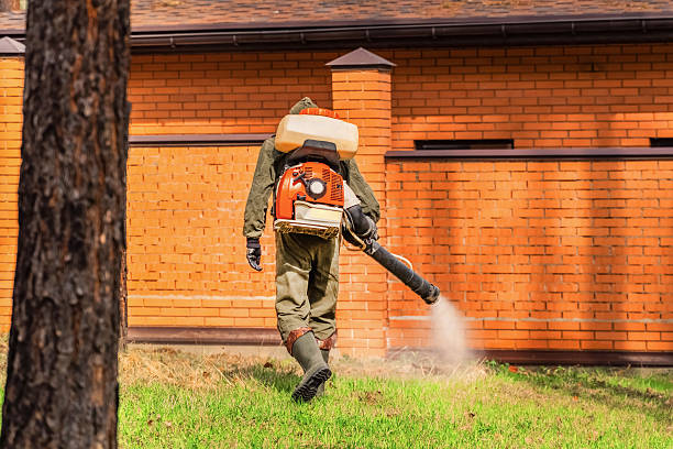 Top rated local Termite Control specialists in Morton, WA
